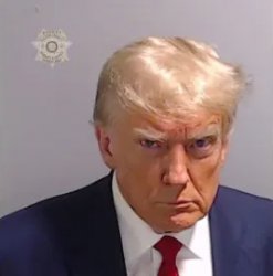 Trump mug shot Meme Template