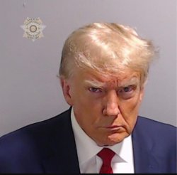 Trump mugshot Meme Template