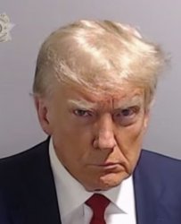 Trump Mugshot Meme Template