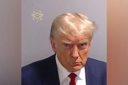 Donald Trump Meme Template