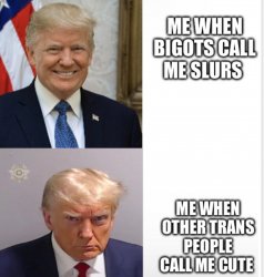 Trump reaction Meme Template