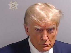 Trump Mugshot Meme Template