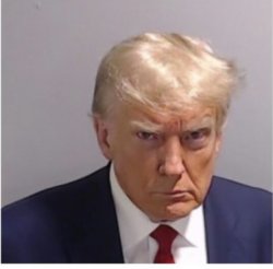 Trump Mugshot Meme Template