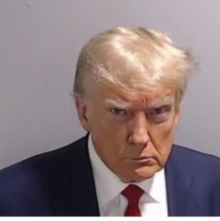 Trump Mugshot Meme Template
