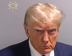 Trump mugshot Meme Template