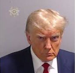 Trump mugshot Meme Template
