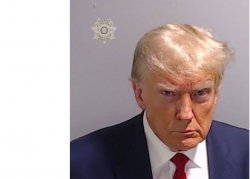 Trump mugshot Meme Template