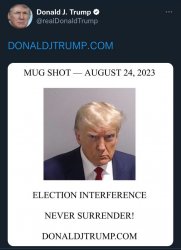 Trump Tweet Meme Template