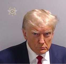 Trump Booking Mugshot Meme Template