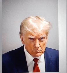 The Best Mugshot Ever Meme Template