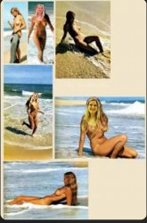 Tanner Terwillegar Meme Template