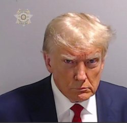 trump mugshot Meme Template