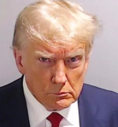 Trump mugshot Meme Template