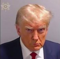 Trump's mugshot Meme Template