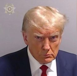 Trump mug shot Meme Template