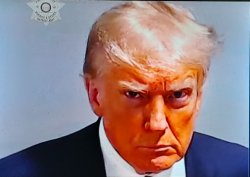 Trump Mug Shot Meme Template
