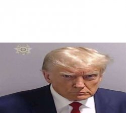 Donald Trump Mugshot Template Meme Template