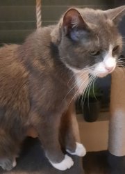 Not impressed Meme Template