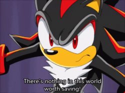 shadow theres nothing in this world worth saving Meme Template