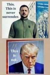 surrender Meme Template