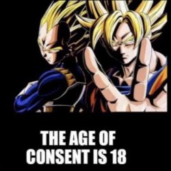 The Age of Consent is 18 Meme Template