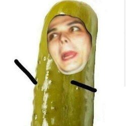 Pickle Gerard Way Meme Template