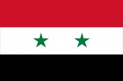Flag of syria Meme Template