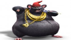 Big Fat Rat Meme Template