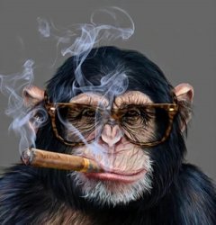 Cigarette monkey Meme Template