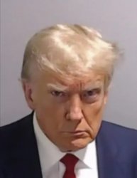 Trump mugshot Meme Template