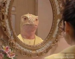 REPTILIAN IN THE MIRROR Meme Template