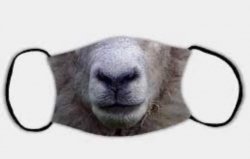 sheep mask Meme Template