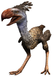 Phorusrhacos Meme Template