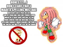 Knuckles doesn't care about spelling mistakes Meme Template