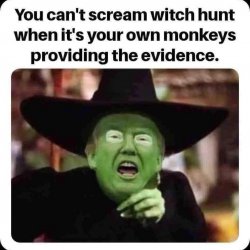 Witch hunt Meme Template