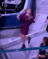 Taylor Swift Meme Template