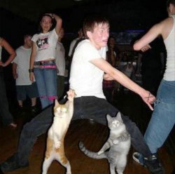 Man Dancing With Cats Meme Template