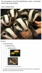 Badger mushroom snake Meme Template