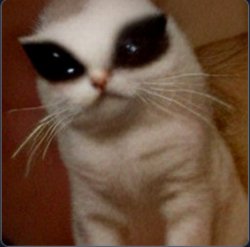 Alien Cat Meme Template