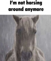 I’m not horsing around anymore Meme Template