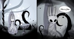 This is fine hollow knight edition Meme Template