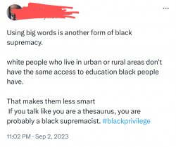 Did they imply that white people are dumb? Meme Template