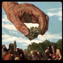 GOD GIVES MAN CANNABIS Meme Template