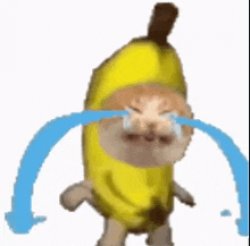 Banana Cat Crying Meme Template