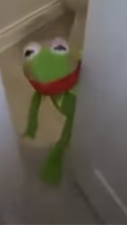 Female Kermit Meme Template