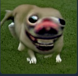 Cursed dog Meme Template