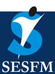 SESFM logo Meme Template