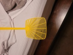 Fly on swatter Meme Template