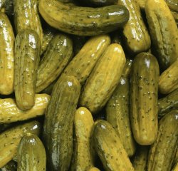Pickles Meme Template