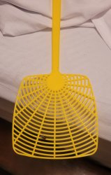 Fly lands on swatter Meme Template